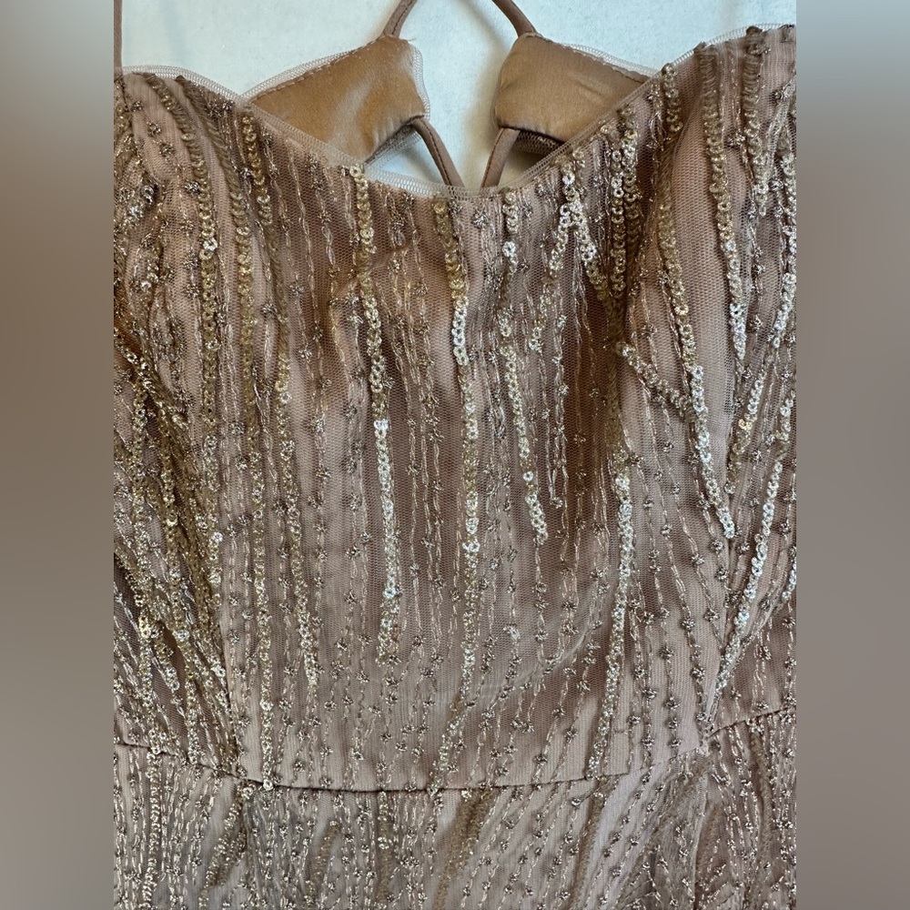 Galina Signature Blush Sequin Gown